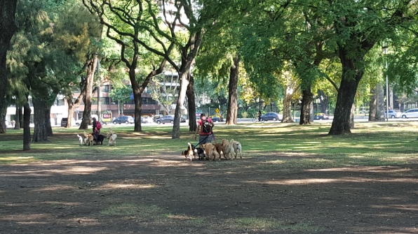 Paseoperros in Palermo parks
