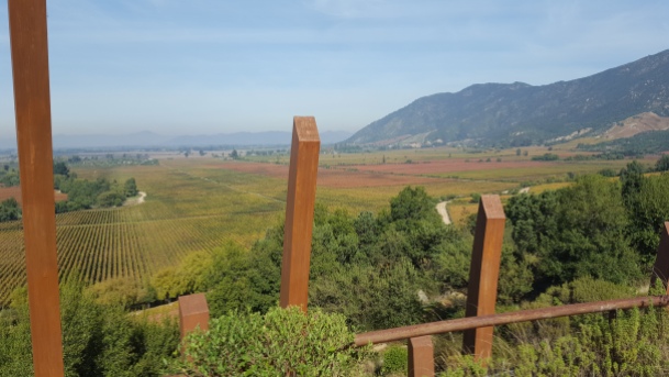 Colchagua valley