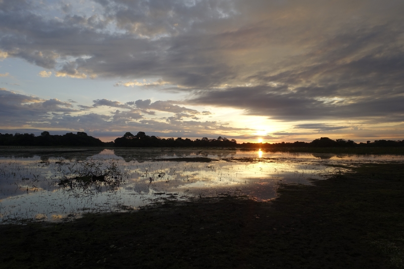Beautiful Pantanal sunrise