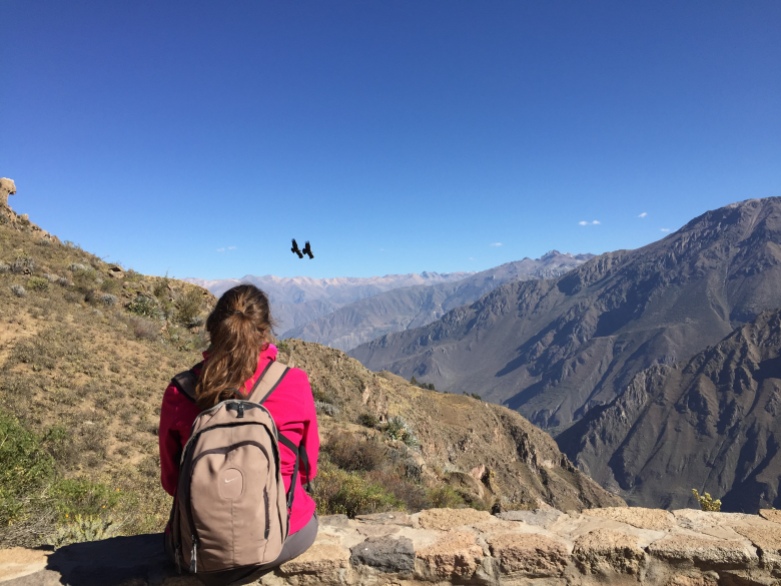 Watching condors in Colca Canyon