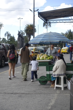 One of the many street stalls selling fresh fruits
