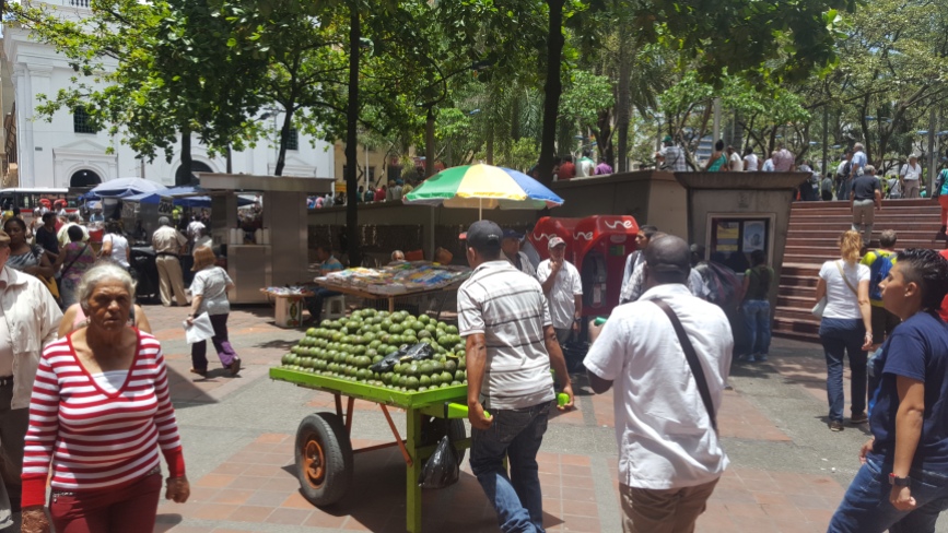 Avocado salesmen in Medellin